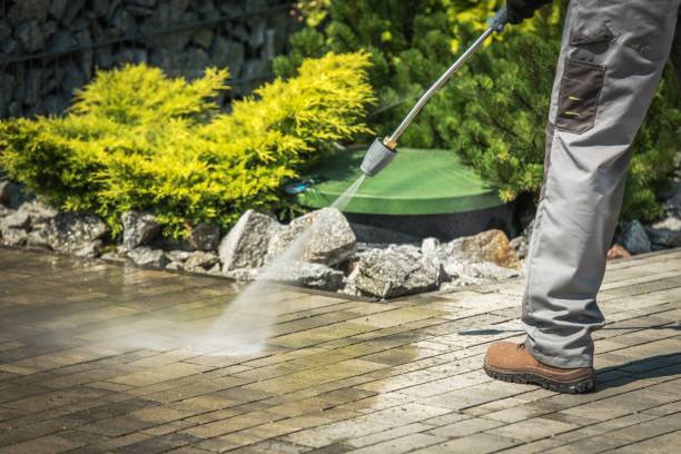 Best Oil and Grease Removal from Surfaces in Lorenz Park, NY
