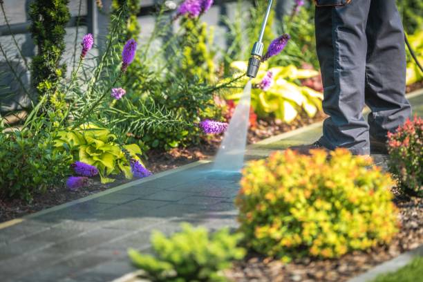Best Pool Deck Cleaning in Lorenz Park, NY